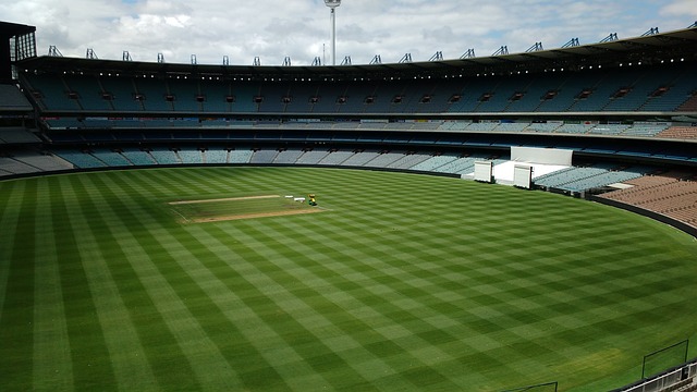 也让观众大 也让观众大