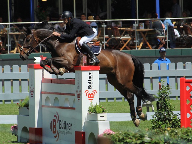 更是球迷们 更是球迷们