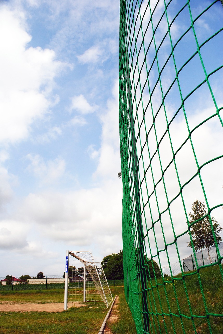 强淘汰赛阶 强淘汰赛阶