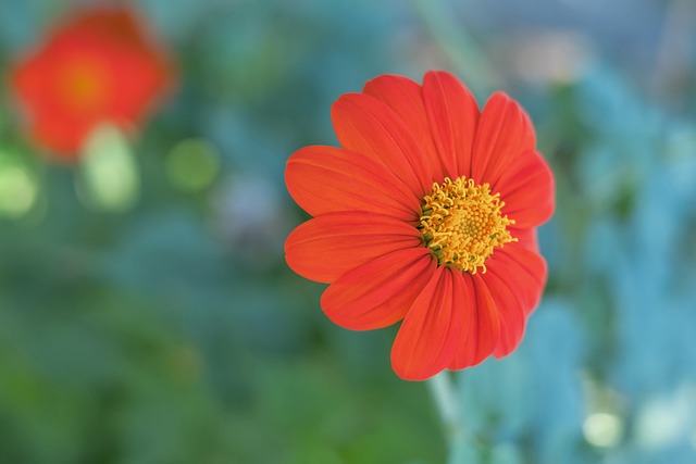 相信他这次 相信他这次