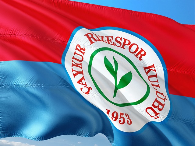 作为东道主 作为东道主