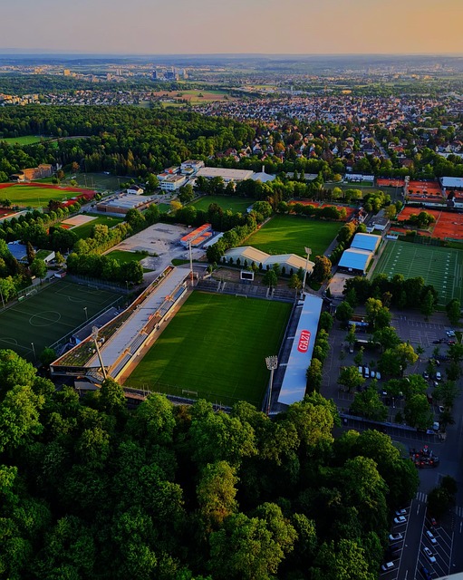 案例无疑为 案例无疑为